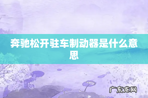 奔驰松开驻车制动器是什么意思