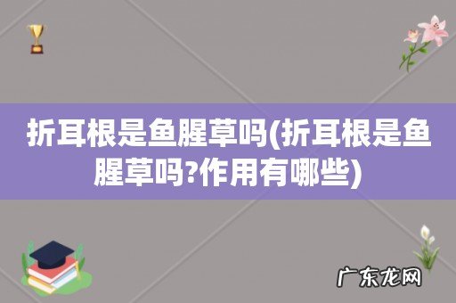折耳根是鱼腥草吗?作用有哪些 折耳根是鱼腥草吗