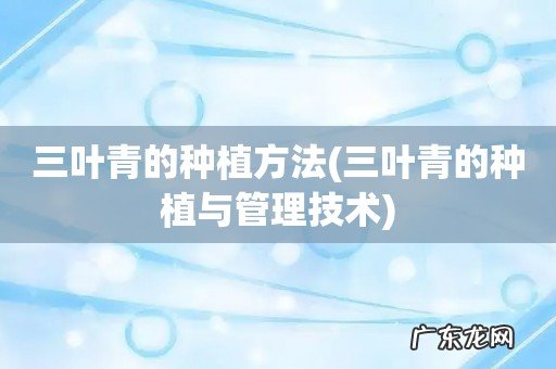 三叶青的种植与管理技术 三叶青的种植方法