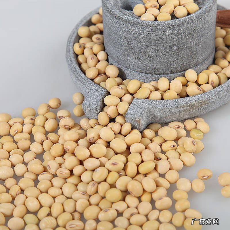 为什么毛豆和黄豆形状不一样 毛豆和黄豆一样吗?