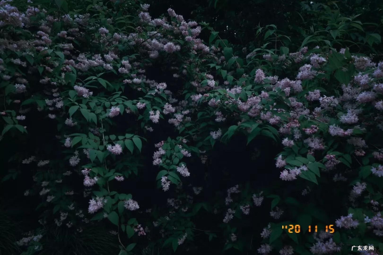 坚持不懈的作文议论文 坚持作文开头