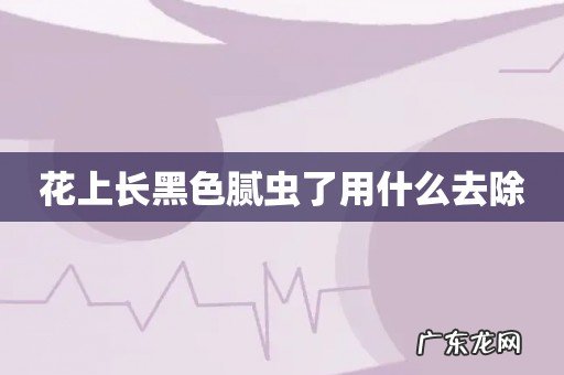 花上长黑色腻虫了用什么去除