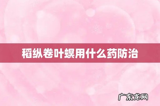 稻纵卷叶螟用什么药防治