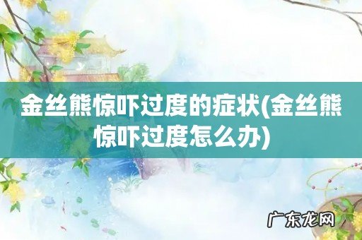 金丝熊惊吓过度怎么办 金丝熊惊吓过度的症状