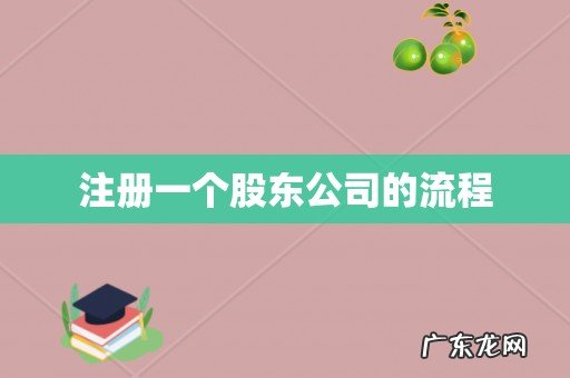 注册一个股东公司的流程