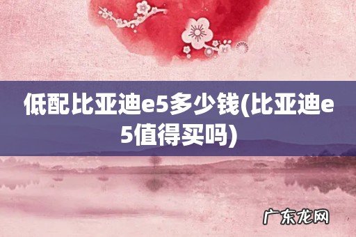 比亚迪e5值得买吗 低配比亚迪e5多少钱