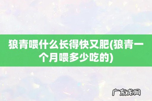 狼青一个月喂多少吃的 狼青喂什么长得快又肥