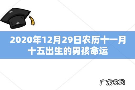 2020年12月29日农历十一月十五出生的男孩命运