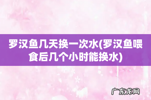 罗汉鱼喂食后几个小时能换水 罗汉鱼几天换一次水