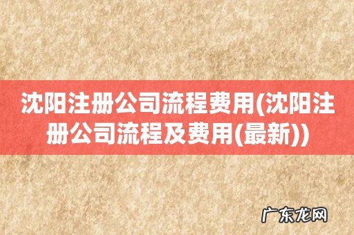 沈阳注册公司流程及费用(最新 沈阳注册公司流程费用)