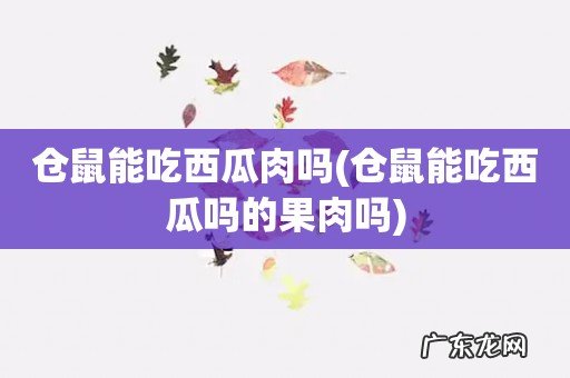 仓鼠能吃西瓜吗的果肉吗 仓鼠能吃西瓜肉吗