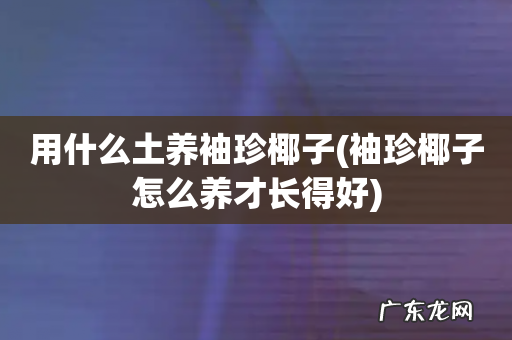 袖珍椰子怎么养才长得好 用什么土养袖珍椰子