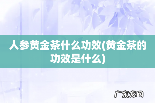 黄金茶的功效是什么 人参黄金茶什么功效