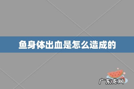 鱼身体出血是怎么造成的