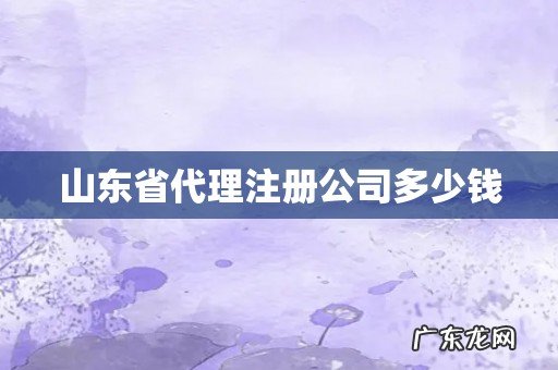 山东省代理注册公司多少钱
