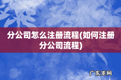 如何注册分公司流程 分公司怎么注册流程