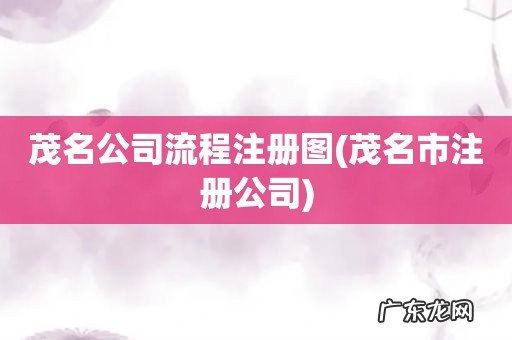 茂名市注册公司 茂名公司流程注册图