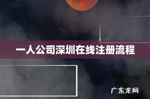 一人公司深圳在线注册流程