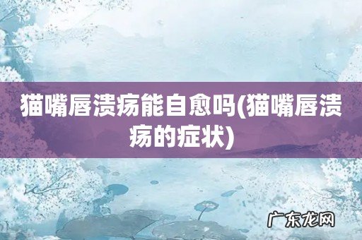 猫嘴唇溃疡的症状 猫嘴唇溃疡能自愈吗