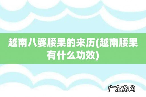 越南腰果有什么功效 越南八婆腰果的来历