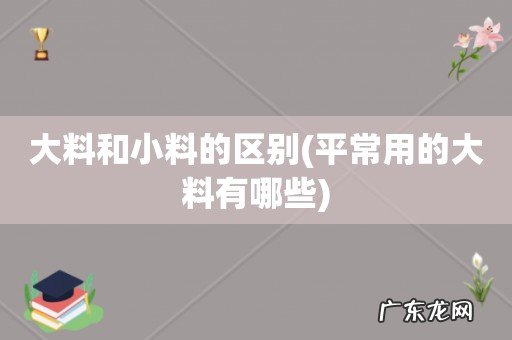 平常用的大料有哪些 大料和小料的区别