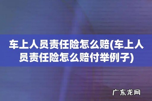 车上人员责任险怎么赔付举例子 车上人员责任险怎么赔