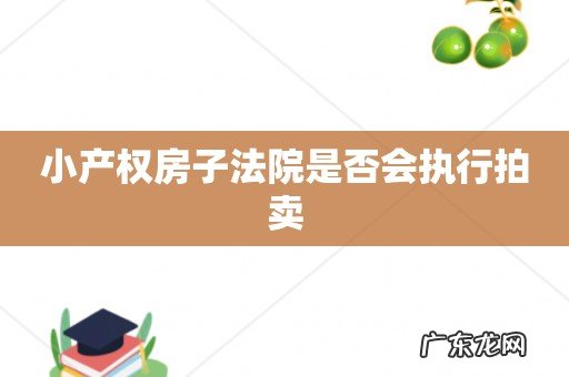 小产权房子法院是否会执行拍卖