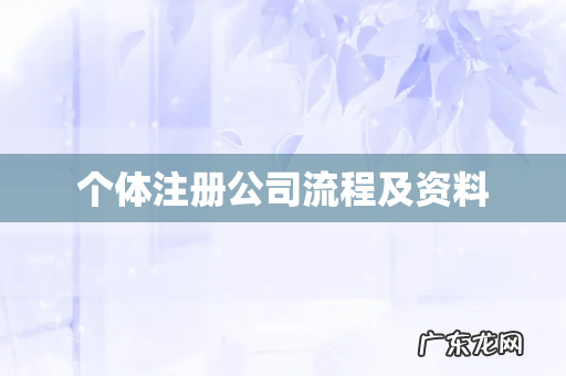 个体注册公司流程及资料