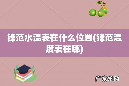 锋范温度表在哪 锋范水温表在什么位置