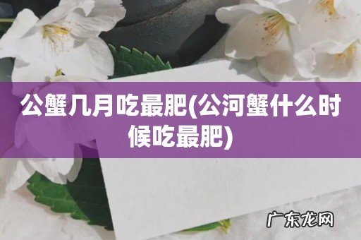 公河蟹什么时候吃最肥 公蟹几月吃最肥