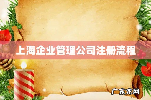 上海企业管理公司注册流程