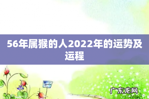 56年属猴的人2022年的运势及运程