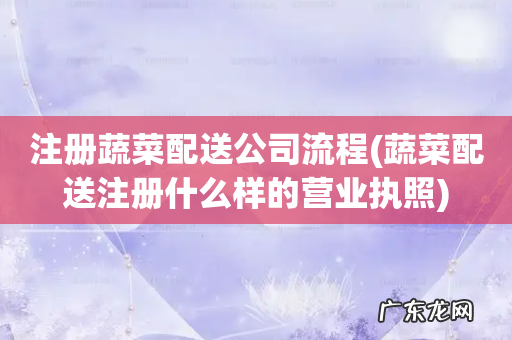 蔬菜配送注册什么样的营业执照 注册蔬菜配送公司流程