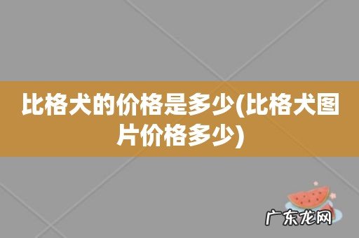 比格犬图片价格多少 比格犬的价格是多少
