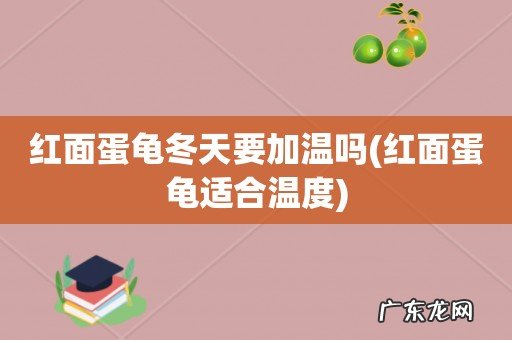 红面蛋龟适合温度 红面蛋龟冬天要加温吗