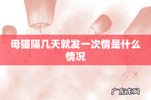 母猫隔几天就发一次情是什么情况