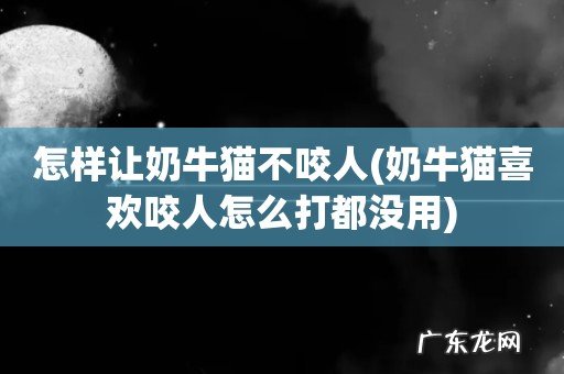 奶牛猫喜欢咬人怎么打都没用 怎样让奶牛猫不咬人