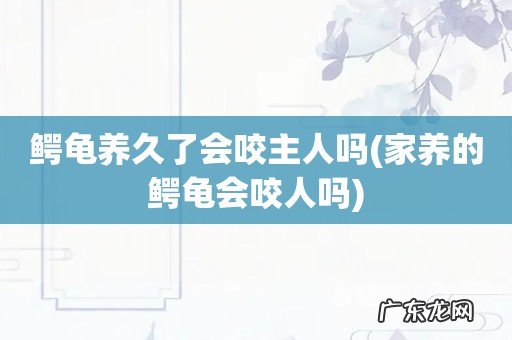 家养的鳄龟会咬人吗 鳄龟养久了会咬主人吗
