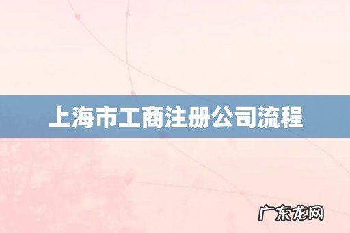 上海市工商注册公司流程