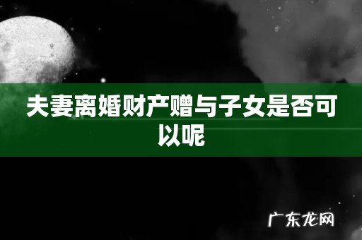 夫妻离婚财产赠与子女是否可以呢