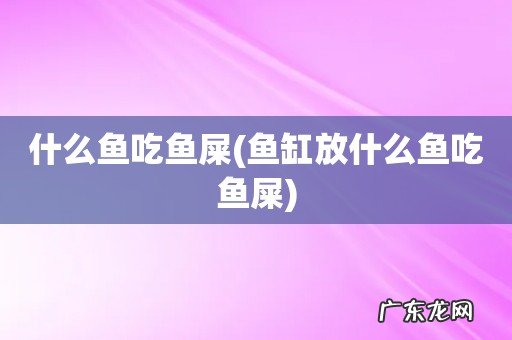 鱼缸放什么鱼吃鱼屎 什么鱼吃鱼屎