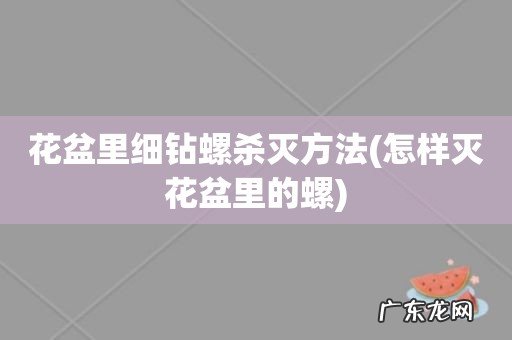 怎样灭花盆里的螺 花盆里细钻螺杀灭方法
