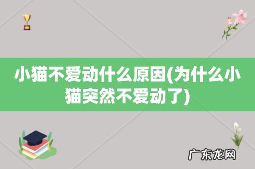 为什么小猫突然不爱动了 小猫不爱动什么原因