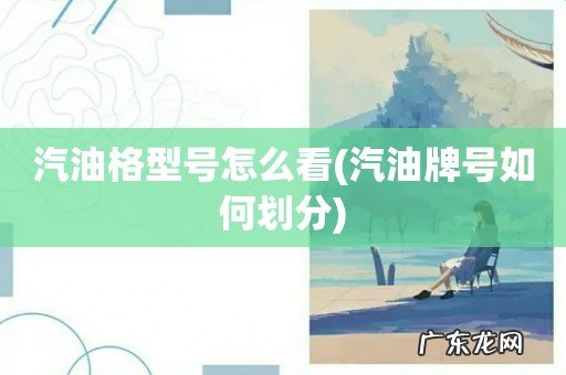 汽油牌号如何划分 汽油格型号怎么看