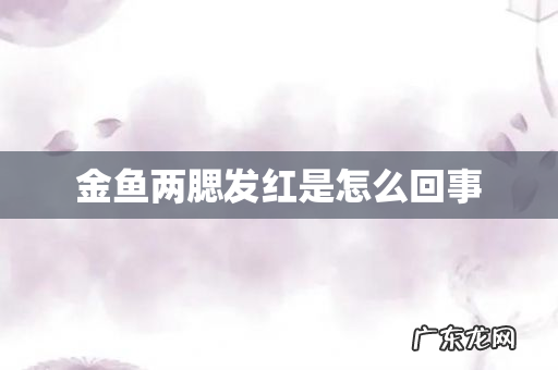 金鱼两腮发红是怎么回事