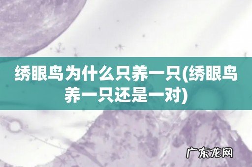 绣眼鸟养一只还是一对 绣眼鸟为什么只养一只