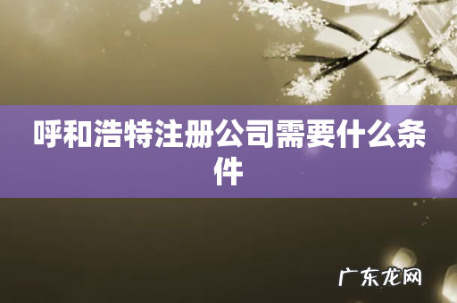 呼和浩特注册公司需要什么条件