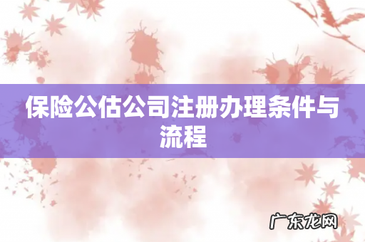 保险公估公司注册办理条件与流程