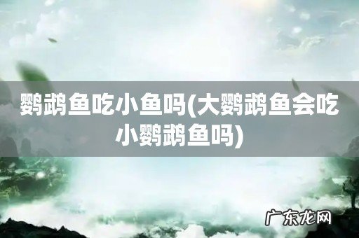 大鹦鹉鱼会吃小鹦鹉鱼吗 鹦鹉鱼吃小鱼吗