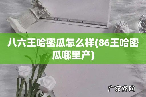86王哈密瓜哪里产 八六王哈密瓜怎么样